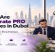 How Corporate PRO Services Companies in Dubai Help Businesses Manage Government Processes
